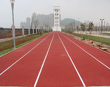 重慶公園運(yùn)動(dòng)球場(chǎng)地坪